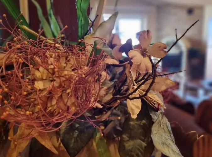 Apartment Isabella Kali